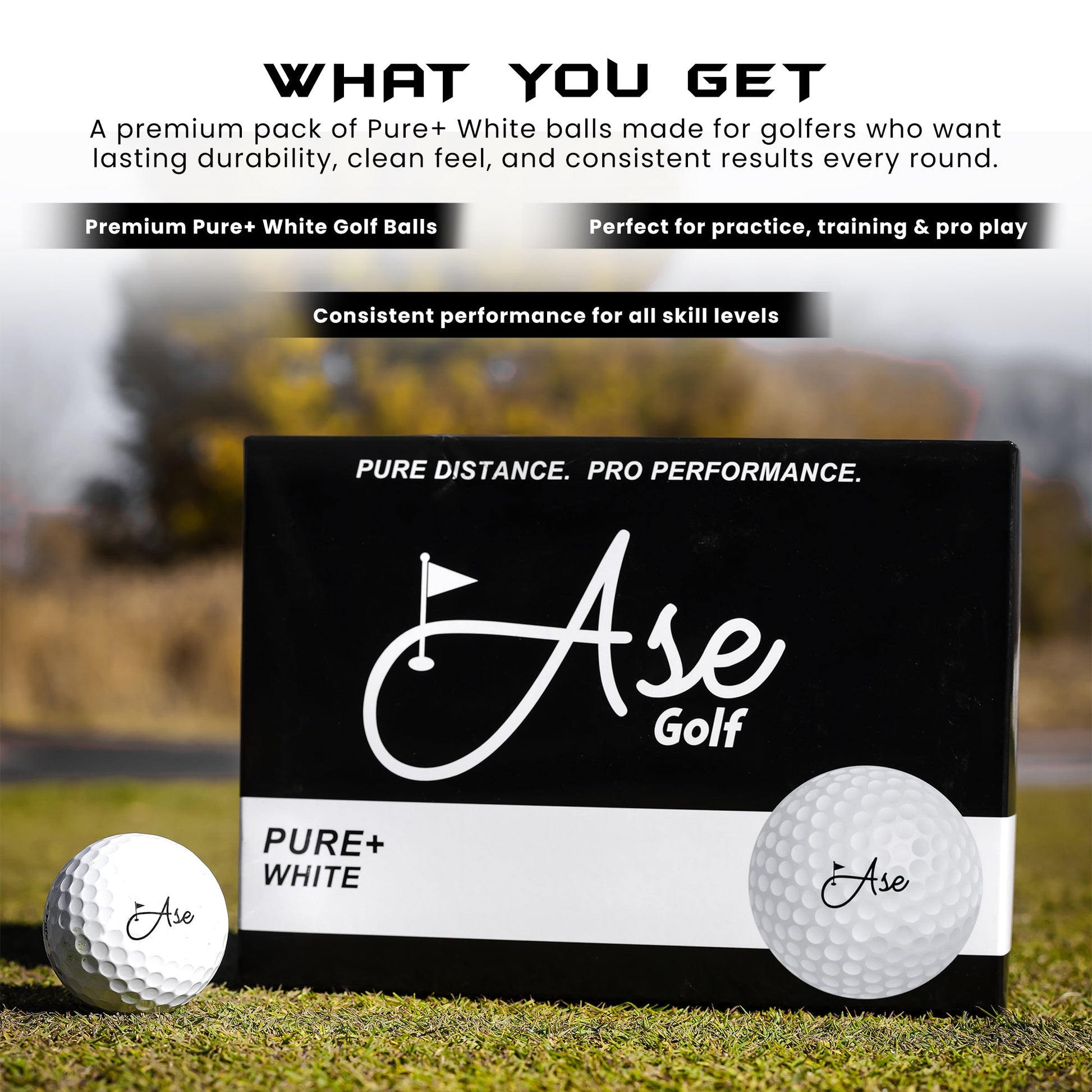 Ase Pure+ Golf Ball | Responsive Feel at Blackout Golf 