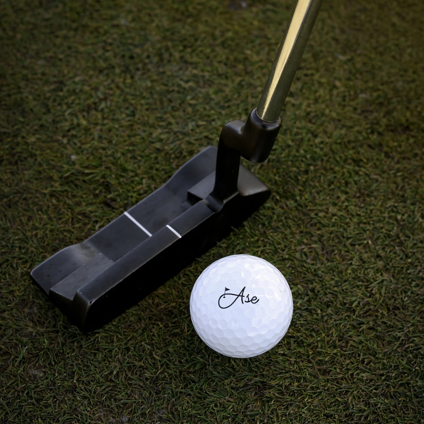 Ase Pure+ Golf Ball | Responsive Feel at Blackout Golf 