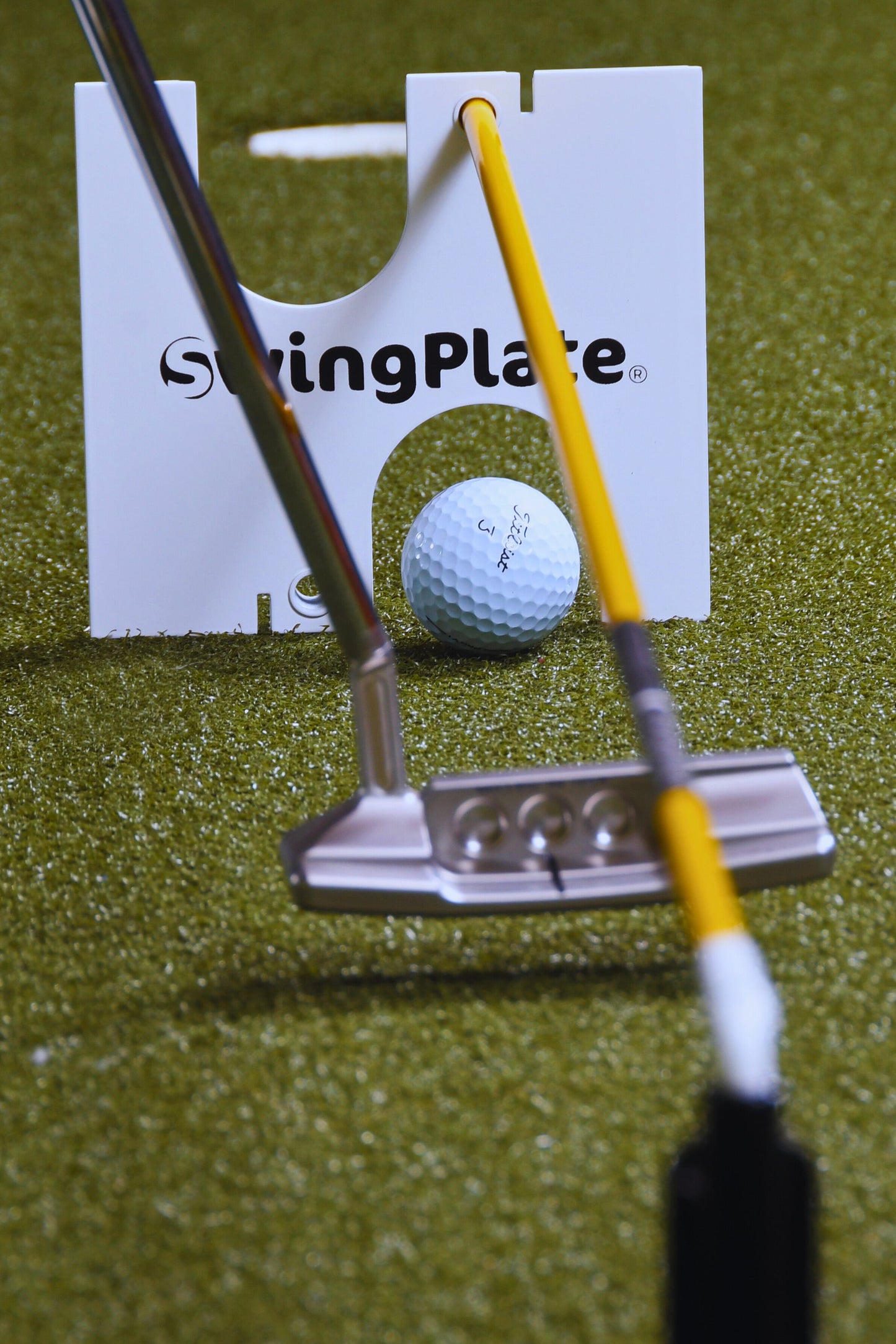 SwingPlate Putting Gate (Gate Only must buy Swingplate base separately)