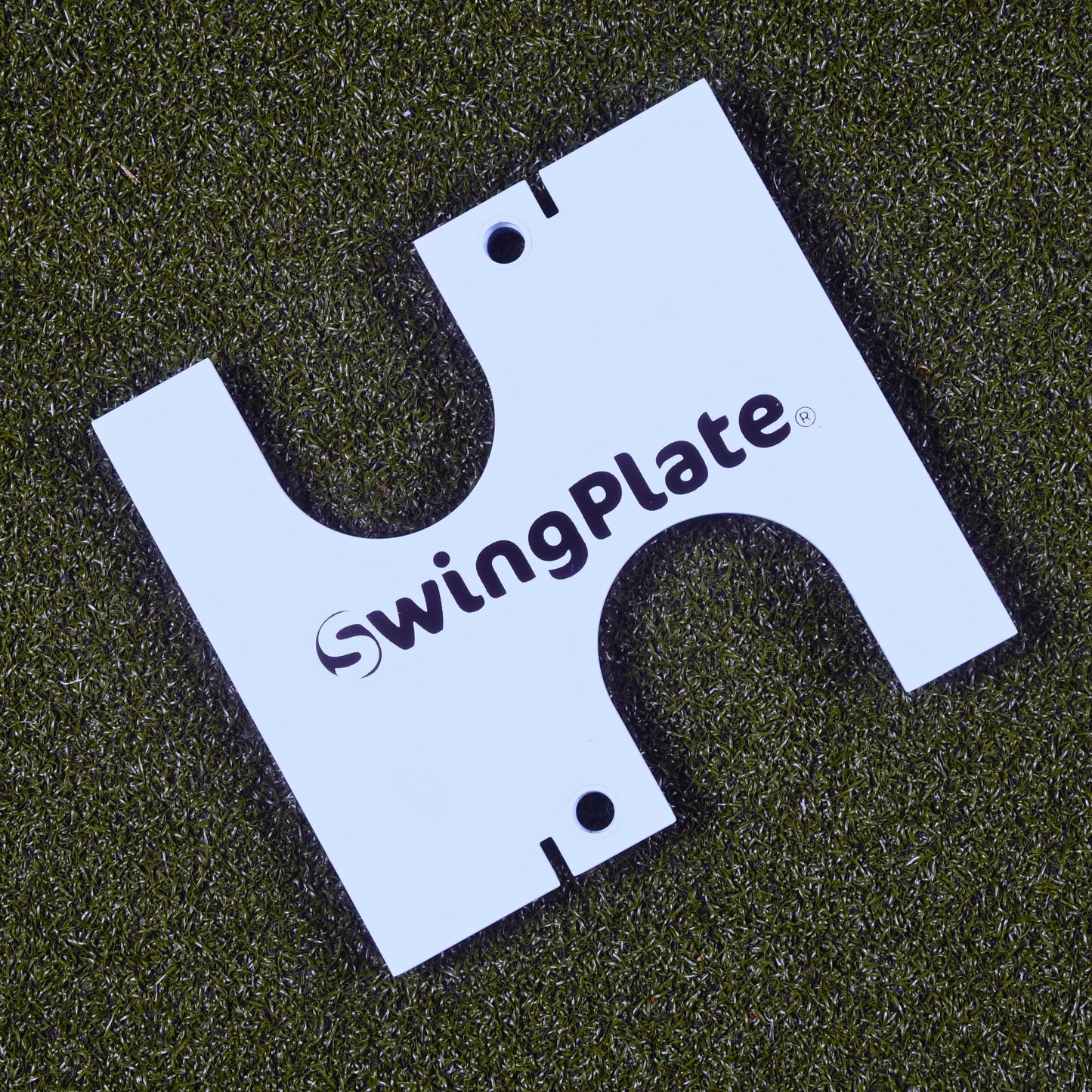 SwingPlate Putting Gate (Gate Only must buy Swingplate base separately)
