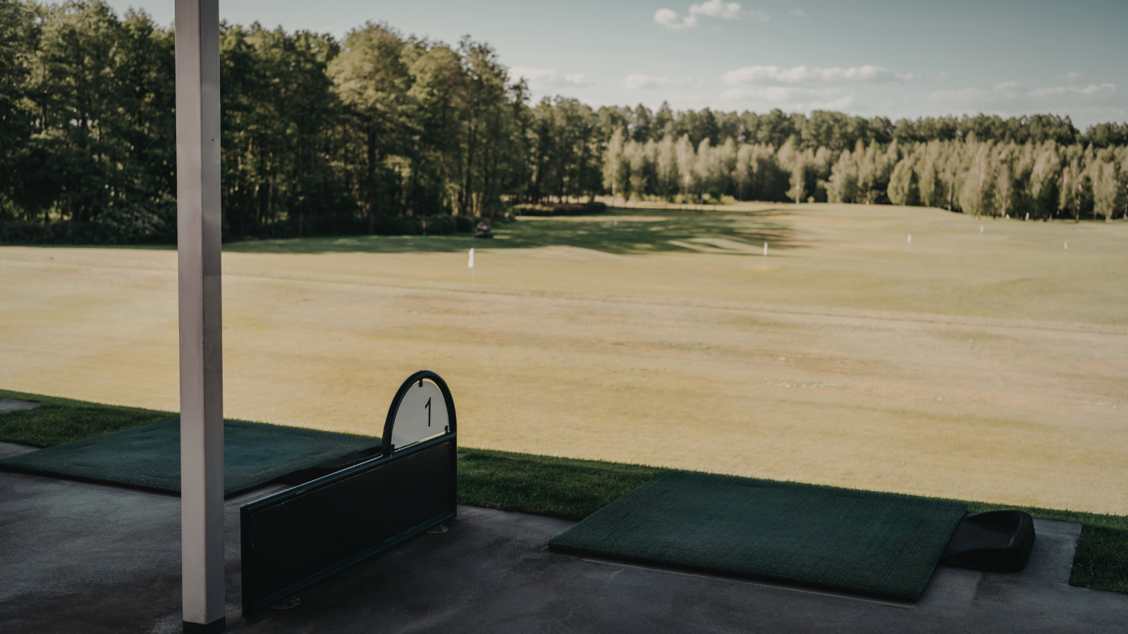 White background and showing black distance control markings on edge putting rail